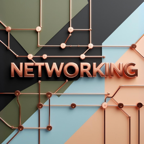 Networking logo
